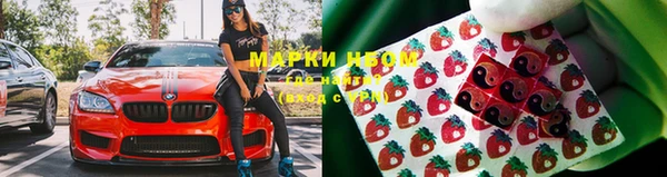 СК Арсеньев
