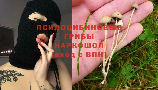 спайс Алексеевка